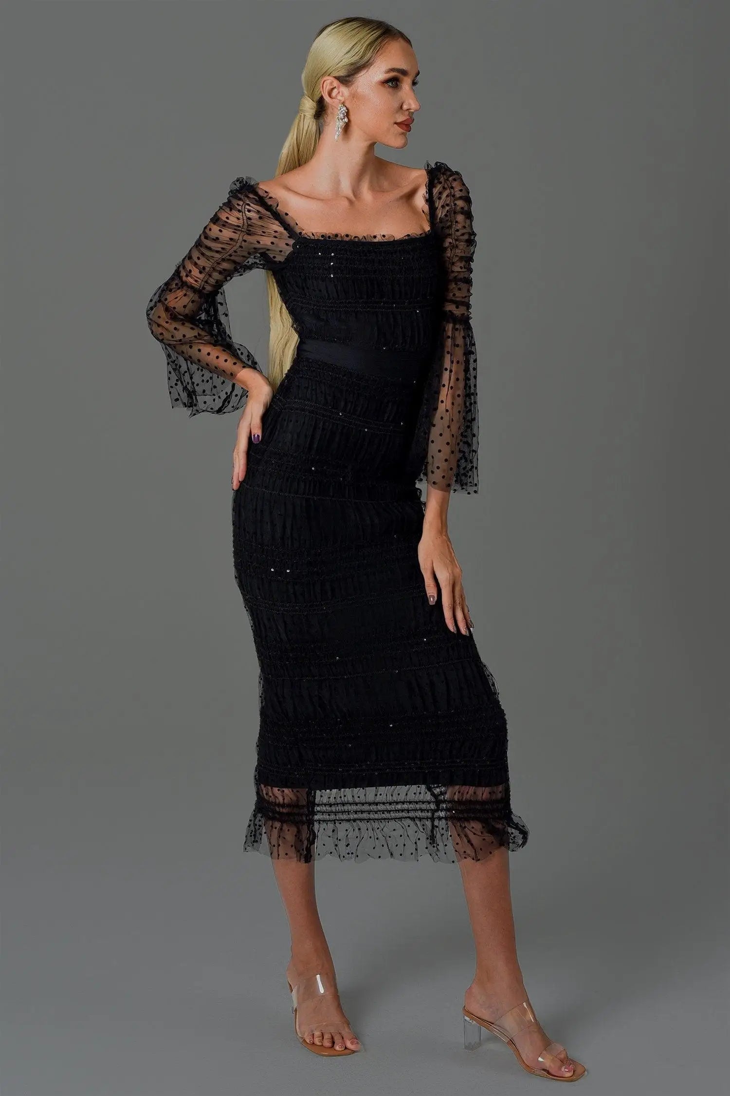 Black Polka Dot Mesh Long Sleeve Midi Dress