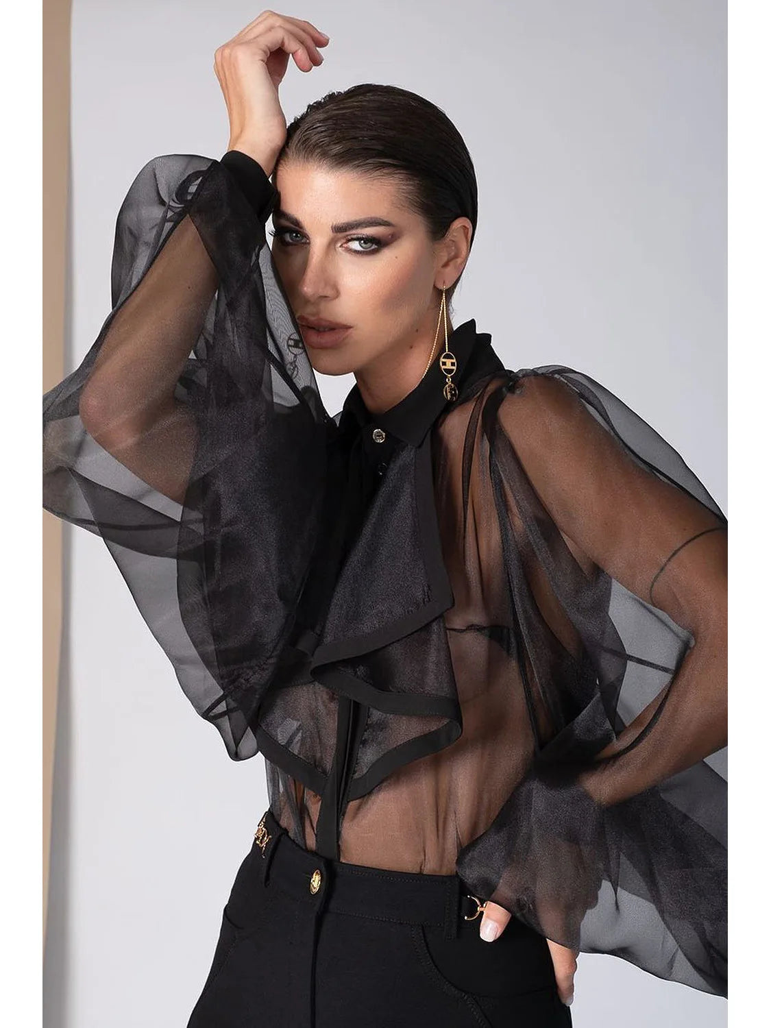 Sheer Ruffle Statement Blouse