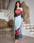 Sheer Long Sleeve Bodycon Evening Dress